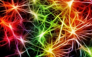 Нейрогенез: как генерировать новые клетки мозга